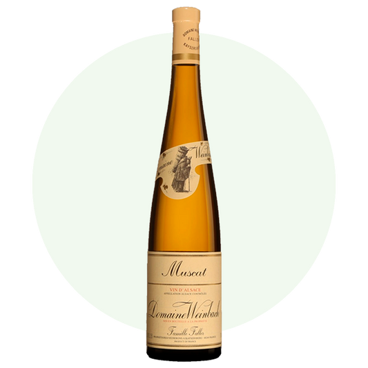 DOMAINE WEINBACH "Muscat" Alsace AOP | 2022