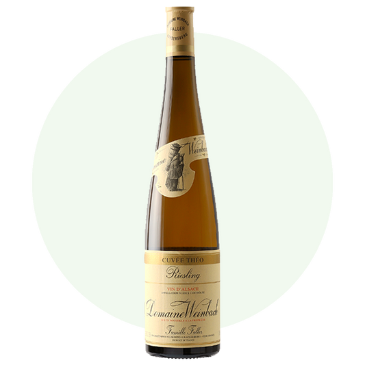 DOMAINE WEINBACH "Theo" Riesling, Alsace AOP | 2022