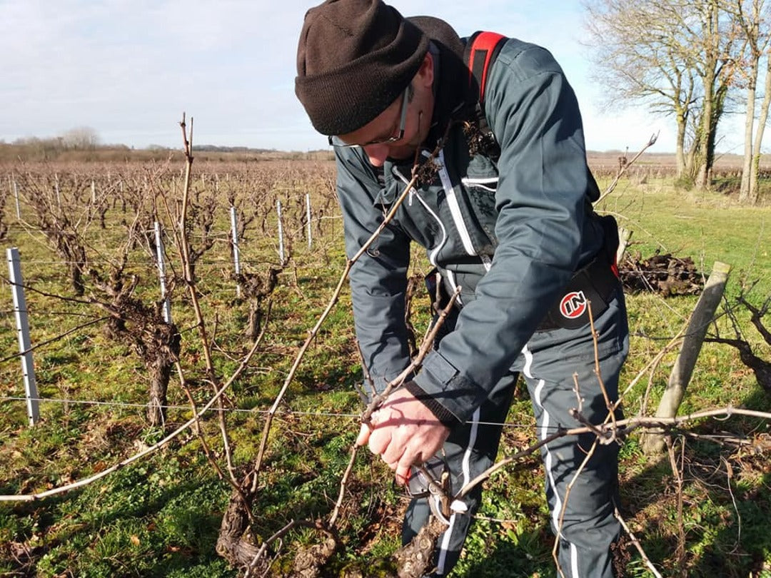 CHÂTEAU DE LA CORMERAIS, Muscadet Sur Lie AOP | 2021