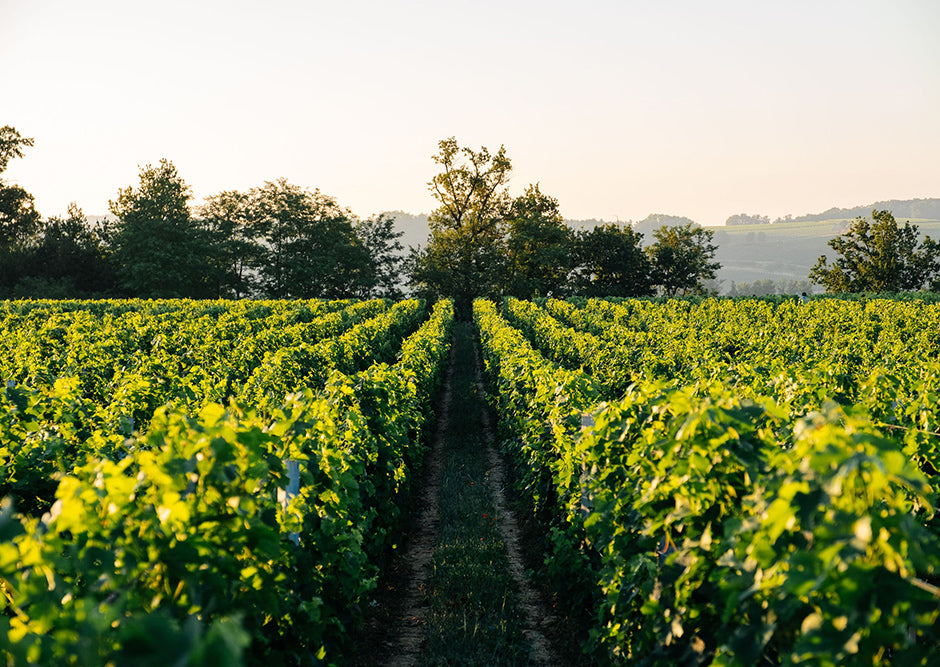CHÂTEAU DE PRESSAC, Saint Emilion Grand Cru Classé AOP | 2018