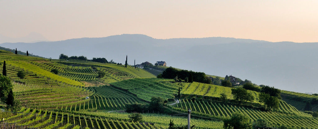 DOMAINE LUCIEN CROCHET Les Calcaires, Sancerre AOP | 2020