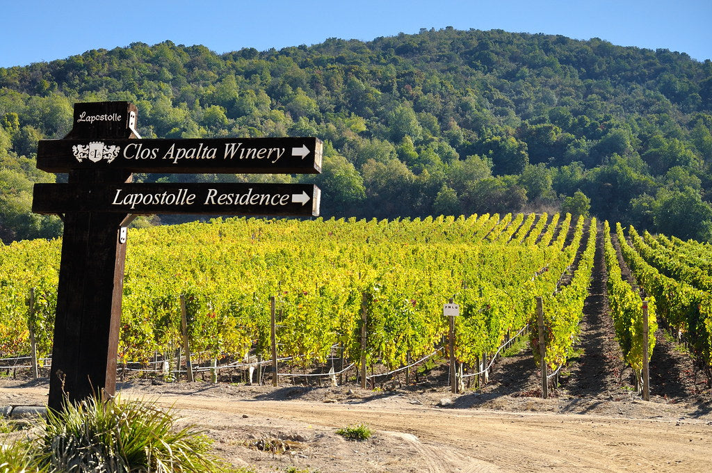 CLOS APALTA Le Petit Clos, Valle de Apalta, Colchagua | 2019