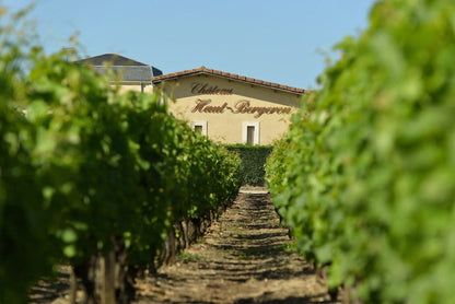 CHÂTEAU HAUT BERGERON, Sauternes AOP | 2022 MEDIA BOTELLA