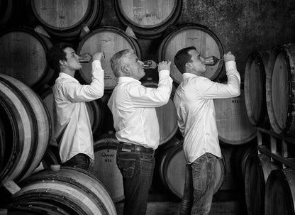 DOMAINE COMBIER Blanc, Crozes Hermitage AOP | 2022