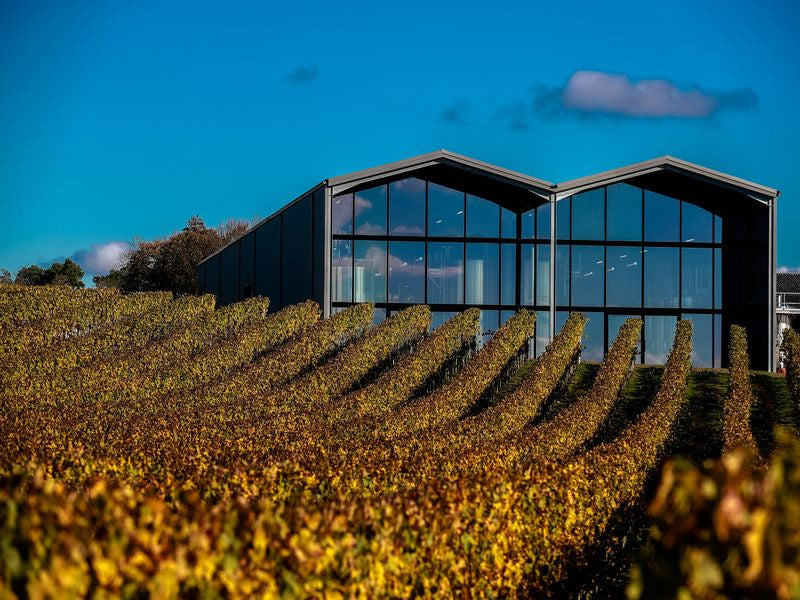 CHÂTEAU LAUDUC L'Invincible Bordeaux AOP | 2022 Vino Natural Sin Azufre añadido
