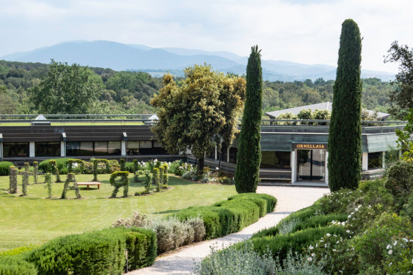 MASSETO, Toscana IGP | 2021