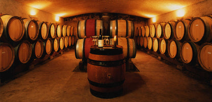 DOMAINE LEQUIN COLIN 1er Cru Les Morgeot, Chassagne Montrachet AOP | 2023