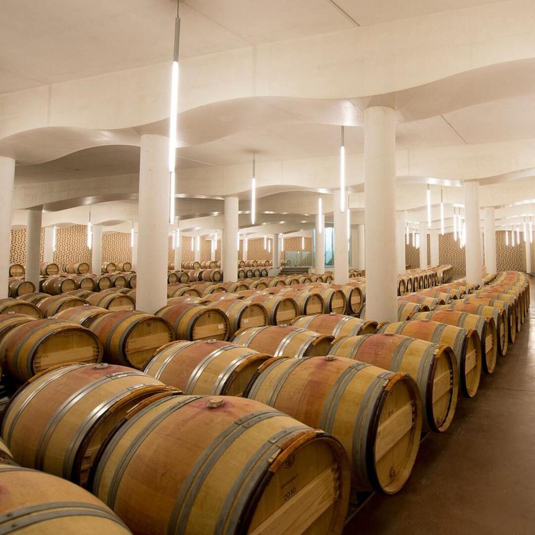 CHÂTEAU CHEVAL BLANC Le Petit Cheval Vin Blanc Sec, Bordeaux AOP | 2020