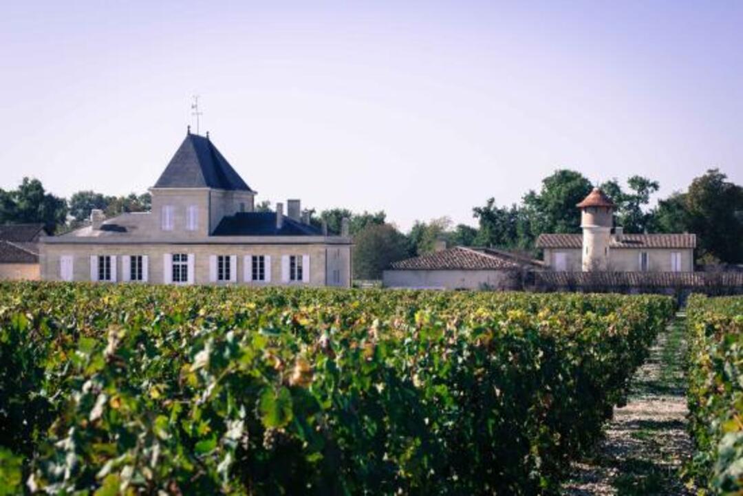 CHÂTEAU BRANE CANTENAC Margaux de Brane, Margaux AOP | 2016