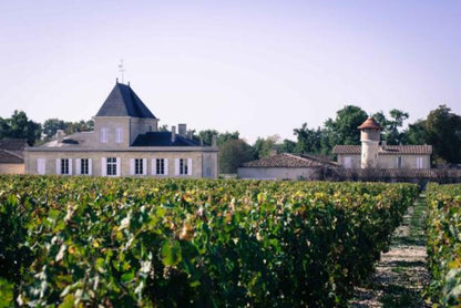 CHÂTEAU BRANE CANTENAC Margaux de Brane, Margaux AOP | 2020