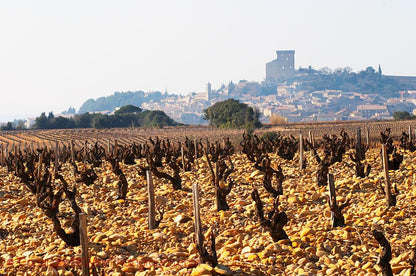DOMAINE DE LA SOLITUDE Barberini Blanc, Châteauneuf du Pape AOP |  2023