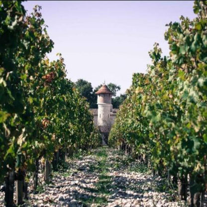 CHÂTEAU BRANE CANTENAC Margaux de Brane, Margaux AOP | 2020
