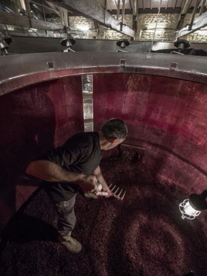 CHÂTEAU BRANE CANTENAC Margaux de Brane, Margaux AOP | 2020