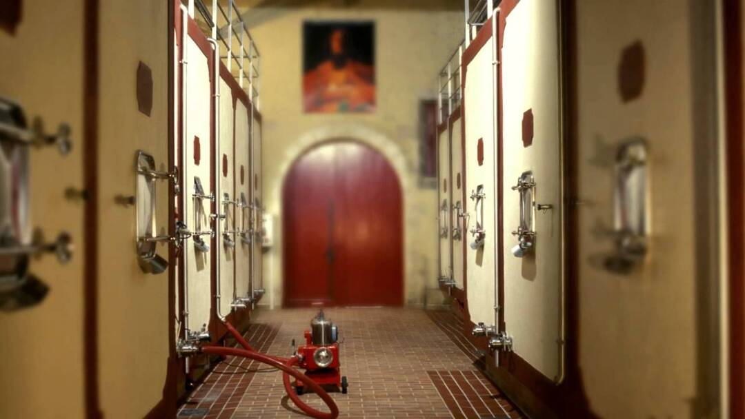 CHÂTEAU TOUR DE PRESSAC, Saint Emilion Grand Cru AOP | 2016