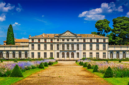 PENNAUTIER Pinot Noir, Pays d'Oc IGP | 2022